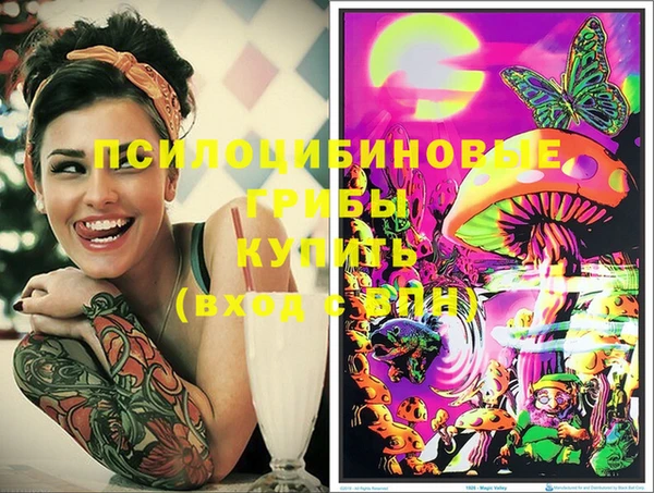 ГАЛЛЮЦИНОГЕННЫЕ ГРИБЫ Белоозёрский