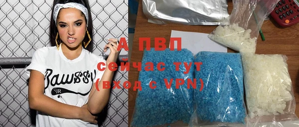 ГАЛЛЮЦИНОГЕННЫЕ ГРИБЫ Белоозёрский