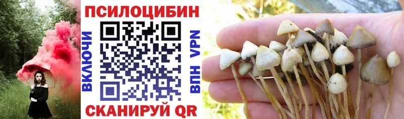 Галлюциногенные грибы GOLDEN TEACHER  Билибино 